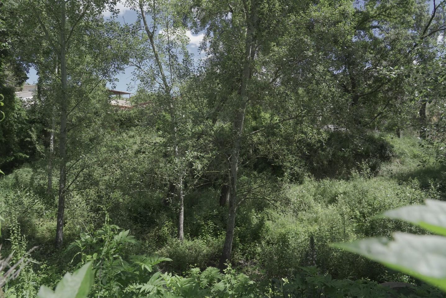 Fotografía de la vivienda 5