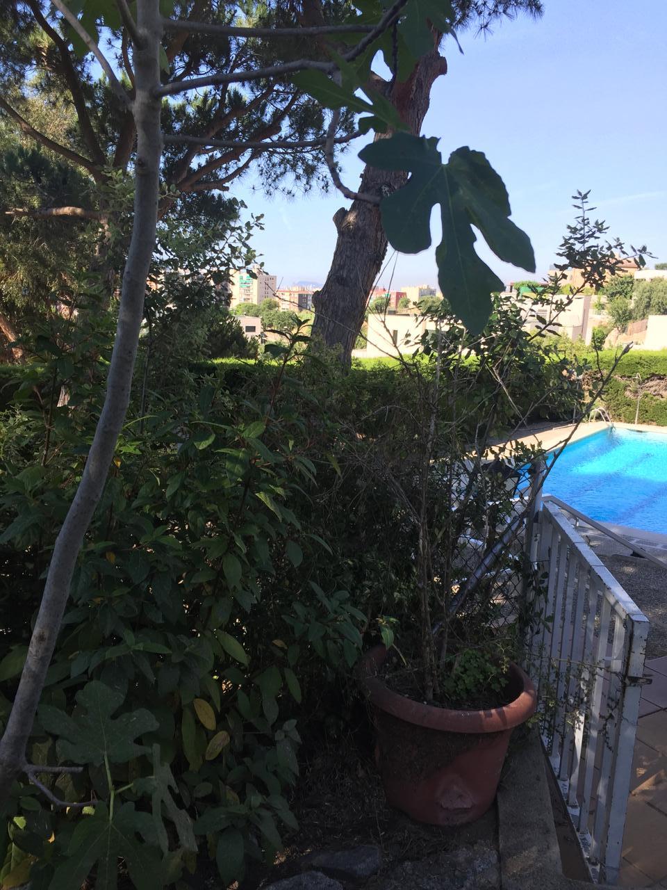 Fotografía de la vivienda 4