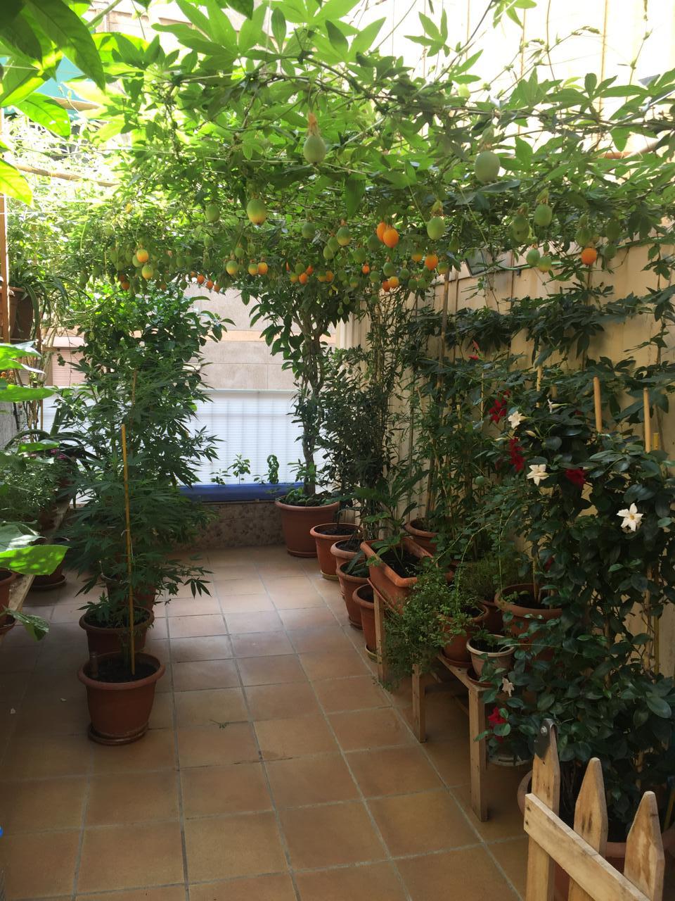 Fotografía de la vivienda 3
