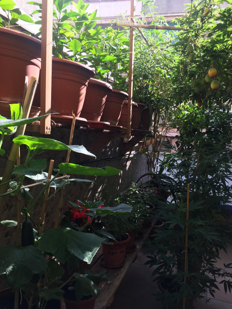 Fotografía de la vivienda 4