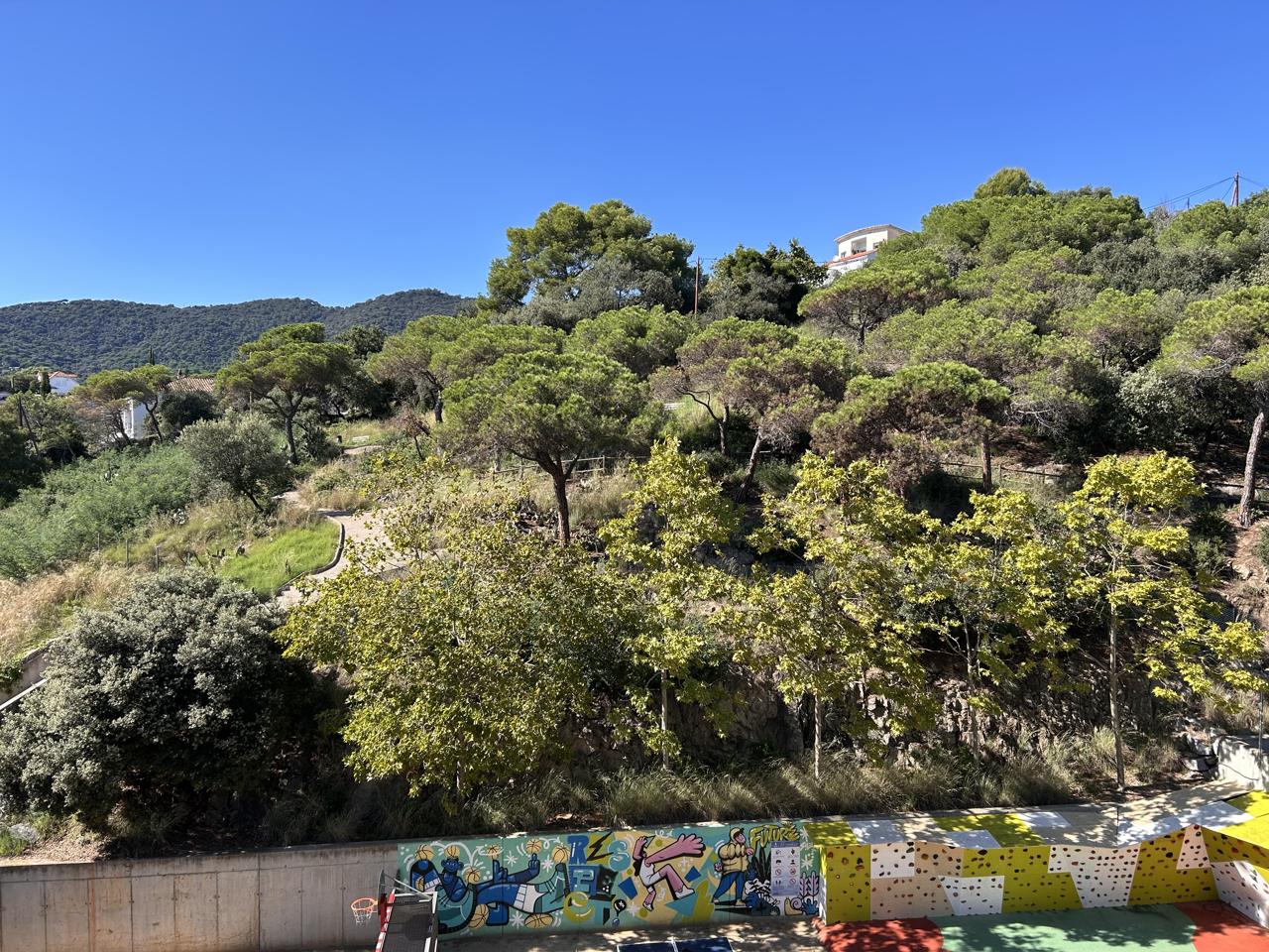Fotografía de la vivienda 2