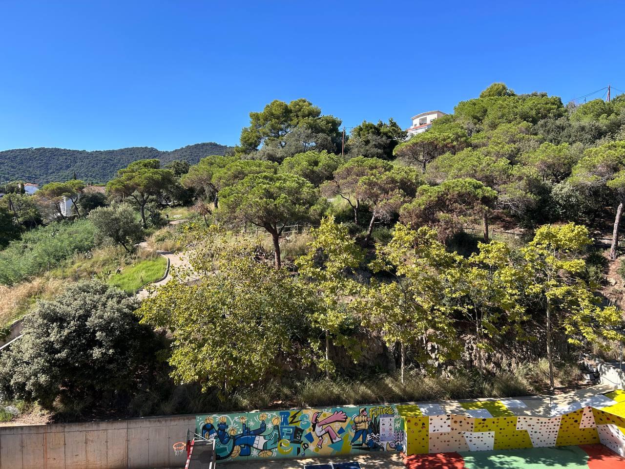 Fotografía de la vivienda 5