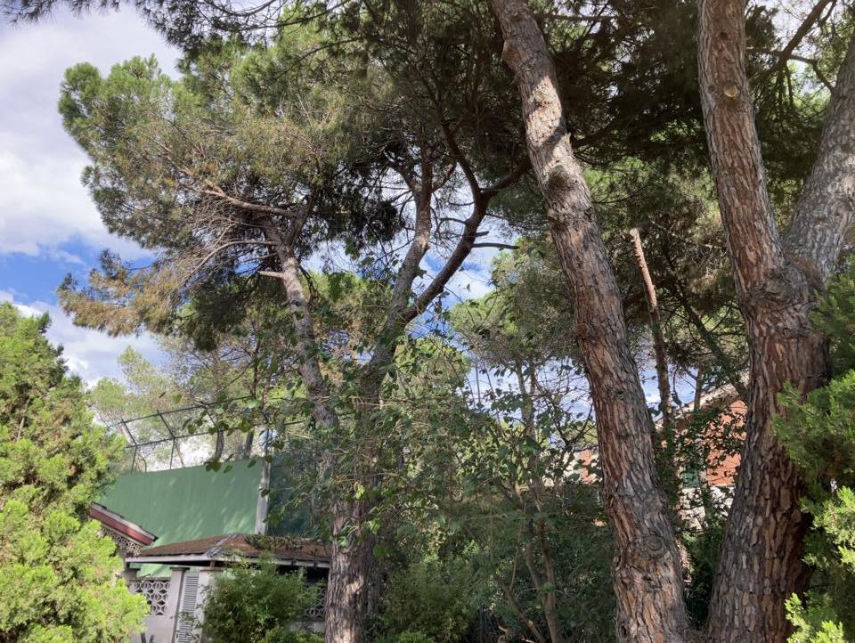 Fotografía de la vivienda 3