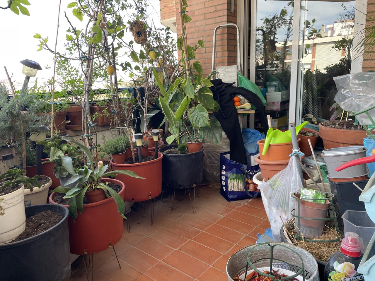 Fotografía de la vivienda 5